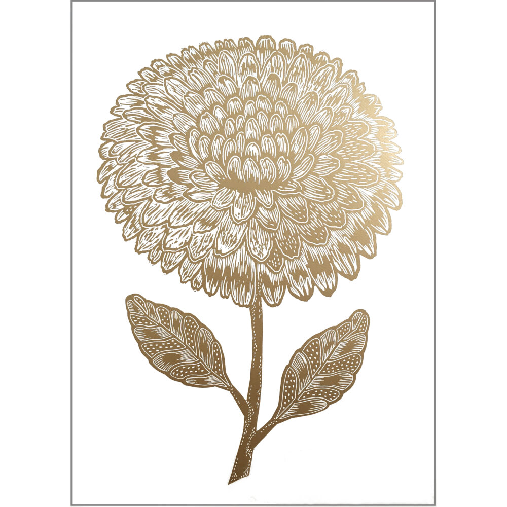 50x70-Dahlia-white-1